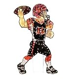 Cincinnati Bengals NFL Light-Up Animated Player Lawn Decoration (44")
