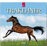 Trakehner 2012