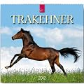 Trakehner 2012