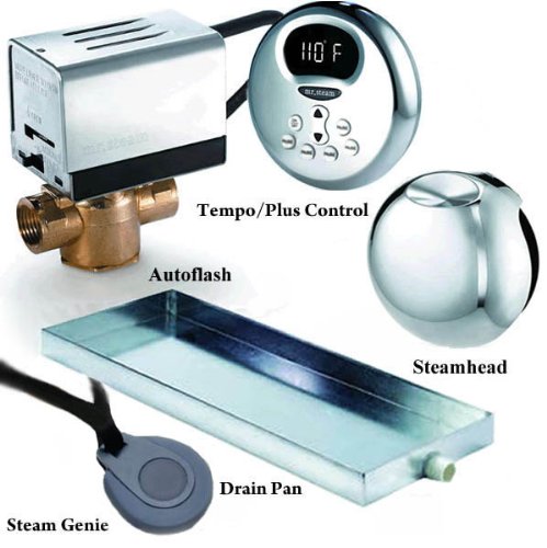 thanksgiving Mr Steam Shower Generator MS BUTLER1 1RD MRSTB006CDC2NM