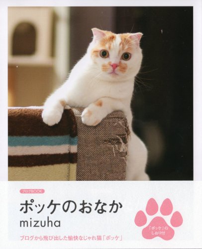 ポッケのおなか