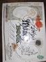 PETTY'S MONEY BOOK