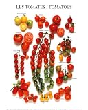 Tomatoes Art Poster Print, 10x12