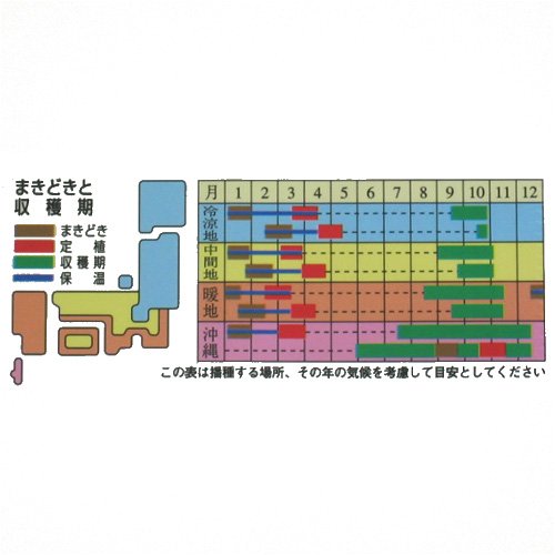 Cover image : パパイヤ台農2号(一代交配)　数量:約20粒