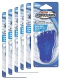 Cool Foot Blue - Outdoor Breeze Air Freshener (6 Pk)