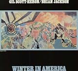 Winter in America [VINYL]