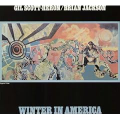Winter in America [Vinyl LP]
