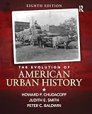 The ethnic dimension in American history
