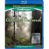 Living Landscapes: Earthscapes - California Redwoods [Blu-ray]