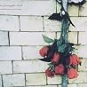 Image of album by The Pineapple Thief
