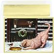 Holiday Sharing holiday Cards
