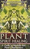 Plant Spirit Healing: A Guide to Working with Plant Consciousness