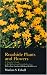 Roadside Plants and Flowers: A Traveler's Guide to the Midwest and Great Lakes Area (North Coast Books)