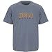 UnderArmour UCLA Bruins UA Tech Tee