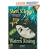 The Waters Rising: A Novel