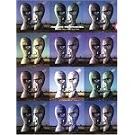 Pink Floyd: Division Bell (Pink Floyd) book cover