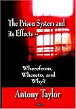The prison system and its effects : wherefrom, whereto, and why?