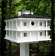 Home Bazaar Clubhouse Birdhouse