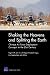 Shaking the Heavens and Splitting the Earth: Chinese Air Force Employment Concepts in the 21st Century