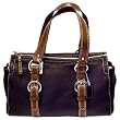 Coach Chelsea Brown Zip Satchel