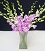 Flowers - Fresh Cut Pink Debdrobium Orchids with Vase