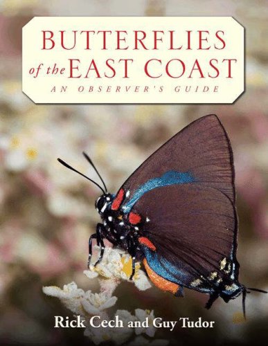 Butterflies of the East Coast: An Observer's Guide