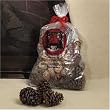 Magical Color Pine Cones Firestarter for Fireplace
