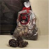 Magical Color Pine Cones Firestarter for Fireplace