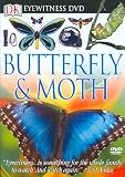 Eyewitness: Butterfly and Moth