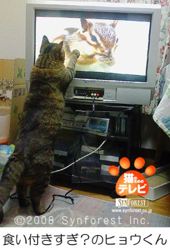 Cover image : 猫のためのテレビ・DVD版 ニャンコたちへの贈り物