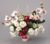 ���G�}�A�[�g�t�����[�@�`�P�X�O�P�|�T�O�@