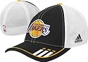 Los Angeles Lakers 2009-2010 Official Team Flex Fit Hat