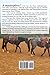 Six Colts, Two Weeks, a Special Colt Starting Clinic with Harry Whitney