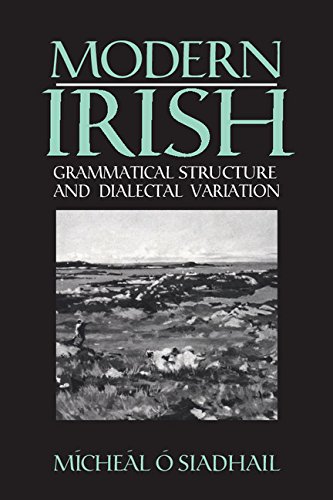 Modern Irish: Grammatical Structure and Dialectal Variation (Cambridge Studies in Linguistics)