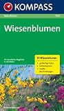 Naturf&uuml;hrer Wiesenblumen: Ihr handlicher Begleiter in der Natur - 70 Wiesenblumen, gro&szlig;artige Fotos, Farbleitsystem, extra Beschreibungen - Christine Jaitner