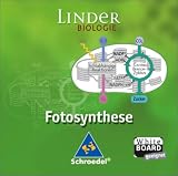 Linder Biologie. Lernsoftware. Fotosynthese. Sekundarstufe 2. CD-ROM