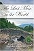 The Last Man in the World: A Pride & Prejudice Variation - Abigail Reynolds