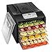 Magic Mill MFD-6100 Magic Mill Professional Dehydrator Machine, 6 Stainless Steel Drying Racks, Multi-Tier Food Preserver, Digital Control Bundle Bonus 2 Fruit Leath, Black