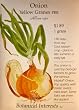 Onion Yellow Granex Seeds 250 Seeds