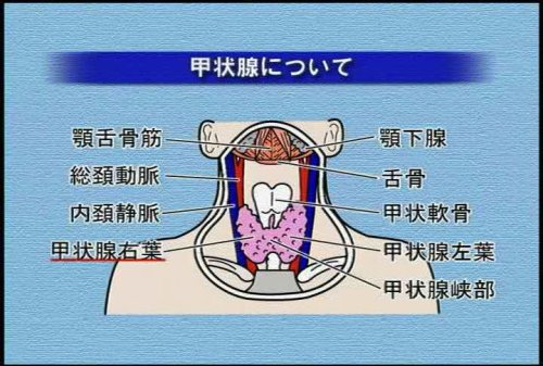 “の”の字2回走査法で出来る! 超音波手技大原則〈第3巻〉 ケアネットDVD