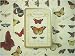 Cavallini Postcard Set- Butterflies