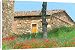 Canvas Prints of Europe, Italy, from Danita Delimont