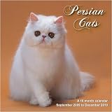 Persian Cats 2010 Wall Calendar->Cliquez sur l'image pour obtenir des informations sur ce livre