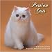 Search : Persian Cats 2010 Wall Calendar