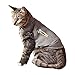 ThunderShirt For Cats
