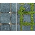 Garden Paving Scraper