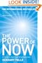 THE POWER OF NOW: A GUIDE TO SPIRITUAL ENLIGHTENMENT