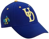 Delaware Fightin Blue Hens Adult Adjustable Hat