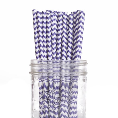 Dress My Cupcake 25-Pack Vintage Paper Straws, Purple Chevron