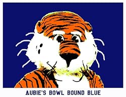 Auburn Painting - Aubies Wonderful World of Color